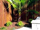 Tropical Landscaping 4